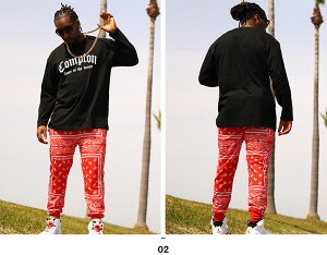 ACE FLAG ㉺Zbg  uh TVc T Opc Y tH~p   傫TCY G[XtbO ZbgAbv W[W  Compton Rvg rbOVGbg bn 