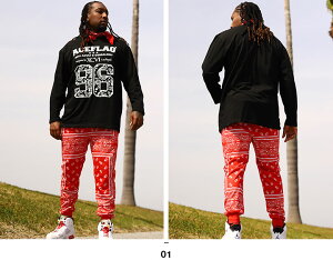 ACE FLAG ㉺Zbg  uh TVc T Opc Y tH~p   傫TCY G[XtbO ZbgAbv W[W 96 yCY[ X|[c rbOVGbg bn q