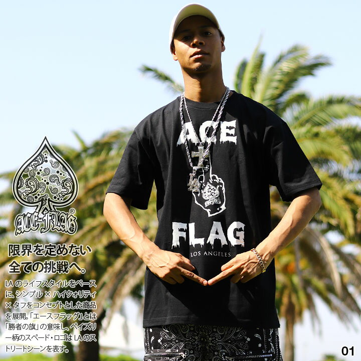 楽天市場】ACEFLAG Tシャツ 半袖 メンズ レディース 春夏用 黒 大きい 