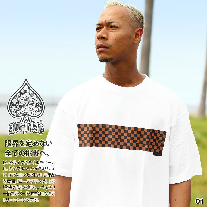 楽天市場】ラスト1点【54%OFF】ACEFLAG Tシャツ 半袖 メンズ 