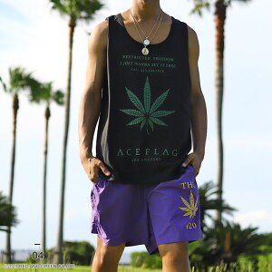 y54%OFFzACE FLAG ㉺Zbg m[X[u n[tpc Y S6 傫TCY G[XtbO ZbgAbv ^Ngbv iC rbOVGbg 喃 wv bn Xg[gn n