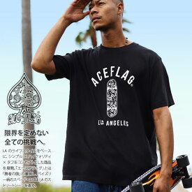 ACEFLAG Tシャツ 半袖 スケボー メンズ 春夏用 黒 大きいサイズ エースフラッグ ペイズリー おしゃれ スケートボード ロゴ ロサンゼルス 西海岸 ウエッサイ ヒップホップ ストリート系 新作 AF-TS-TS-045