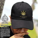 【50%OFF】 ACEFLAG キャップ メンズ レディース 春夏秋冬用 黒/白 エースフラッグ 帽子 cap ローキャップ 浅め ベースボールキャップ おしゃれ 大麻 マリファナ ヘンプ ロゴ 刺繍 b系 ヒップホップ ファッション ダンス ストリート系 ブランド AF-CA-SB-043