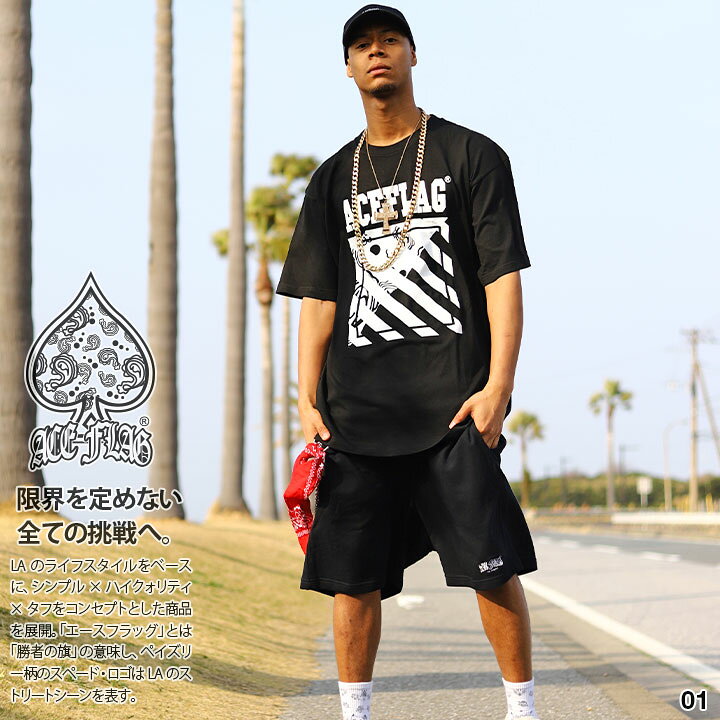 楽天市場】ACEFLAG 上下セット 半袖 ブランド Tシャツ ハーフパンツ 