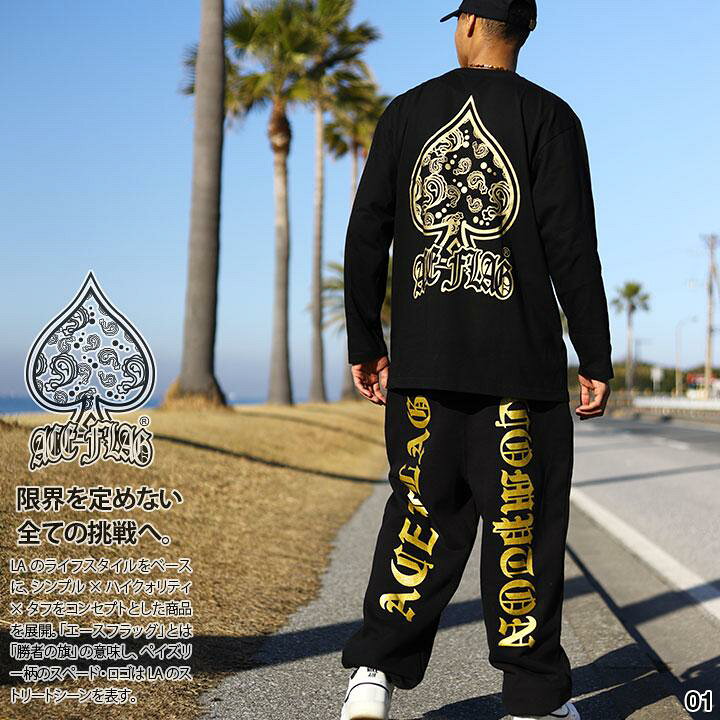 楽天市場】ACEFLAG 上下セット 長袖 ブランド メンズ 春秋冬用 黒/白  