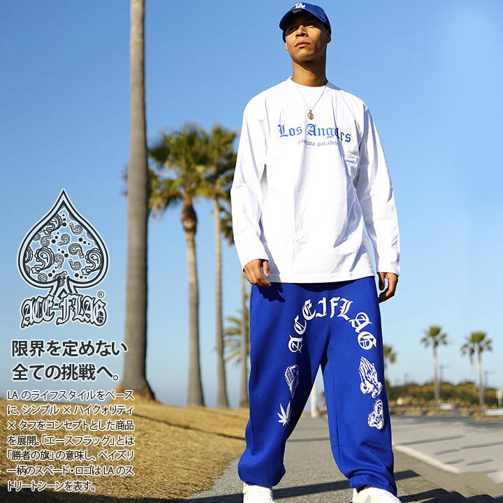 楽天市場】ACEFLAG 上下セット 長袖 ブランド メンズ 春秋冬用 全2色  