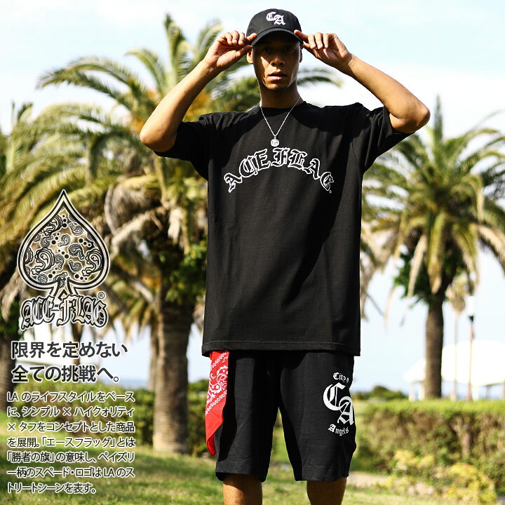 楽天市場】ACE FLAG 上下セット 半袖 Tシャツ ハーフパンツ 上下 