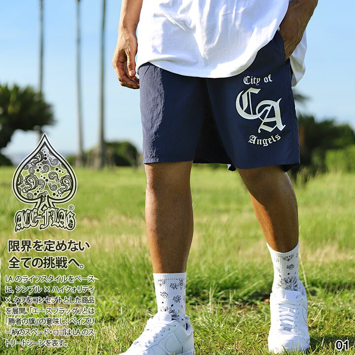 楽天市場】ACEFLAG ハーフパンツ ナイロン 海パン 半ズボン 短パン 
