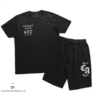 ACE FLAG ㉺Zbg  uh TVc n[tpc Y tėp / 傫TCY G[XtbO ZbgAbv pc FTP 喃 wv LA bn qbvzbv t@bV Xg[g