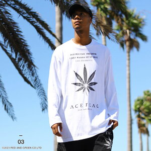 ACEFLAG T Y tH~p S4 傫TCY G[XtbO TVc  h HEMP  喃 }t@i wv S `J[m [C_[ bn qbvzbv t@bV _X Xg