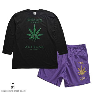 ACE FLAG ㉺Zbg  T n[tpc Y S6 傫TCY G[XtbO ZbgAbv  rbOVGbg 喃 }t@i wv S bn t@bV tH~ V 