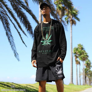 ACE FLAG ㉺Zbg  T n[tpc Y S6 傫TCY G[XtbO ZbgAbv  rbOVGbg 喃 }t@i wv S bn t@bV tH~ V 