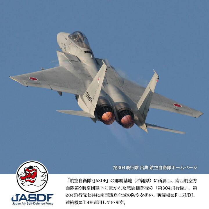 三沢基地 第14戦闘飛行隊 F-16 パッチ ワッペン ミリタリー