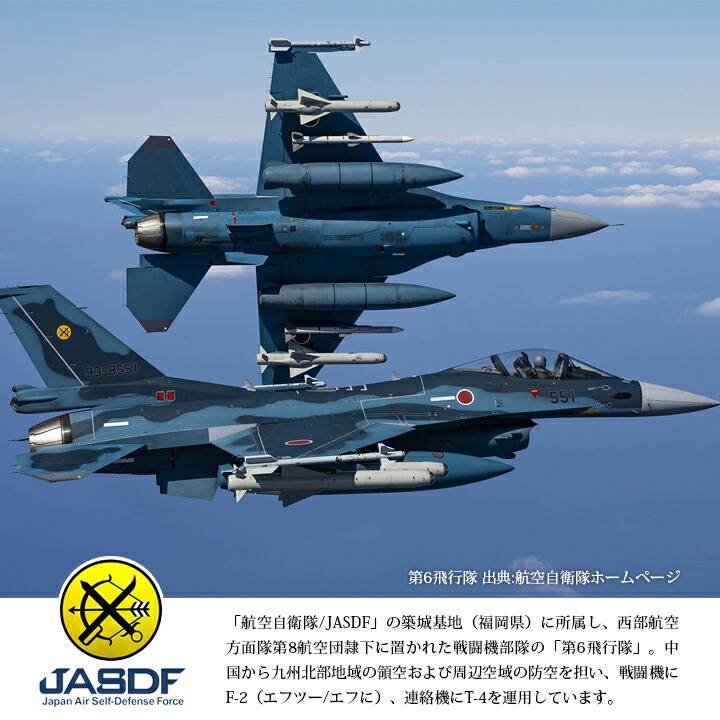 航空自衛隊301飛行隊ピンバッチ