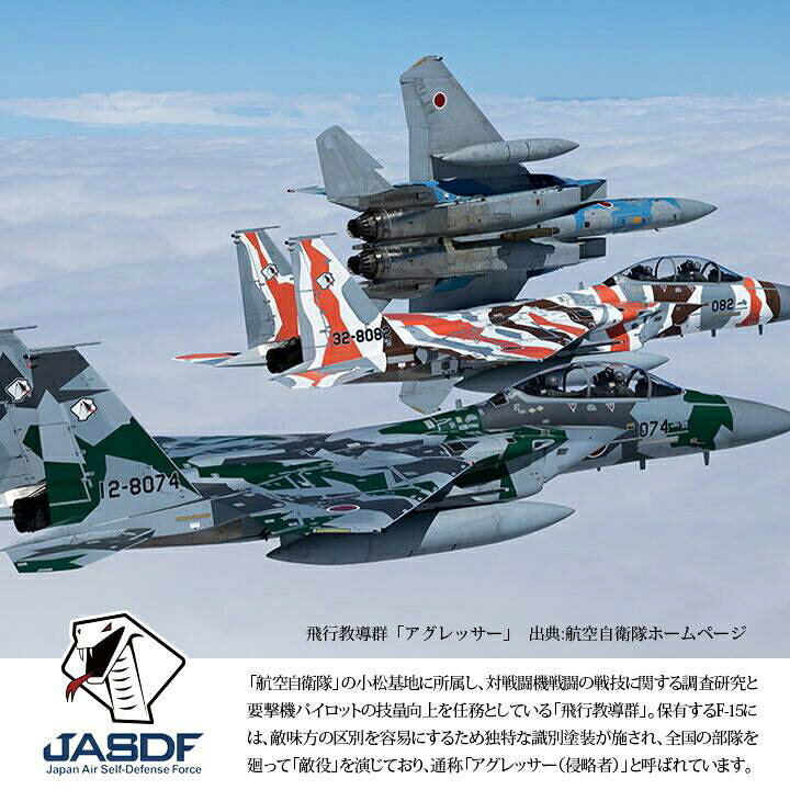 楽天市場 防衛省 自衛隊 グッズ アグレッサー ワッペン アップリケ パッチ 刺繍 メンズ アグレッサー部隊 コブラ ヘビ ロゴマーク Agr 飛行教導群 小松基地 ショルダーパッチ 航空自衛隊 空自 ベルクロ マジックテープ付き ハイビジ サバゲー ミリタリー Px品 Pa38 Tn