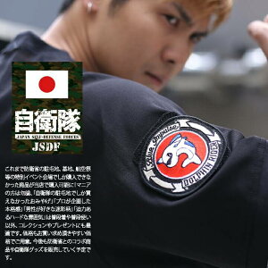 q ObY u[CpX Gu by pb` hJ htBC_[  Blue Impulse n4qc11s q󎩉q  ʃxN }WbNe[vt PX