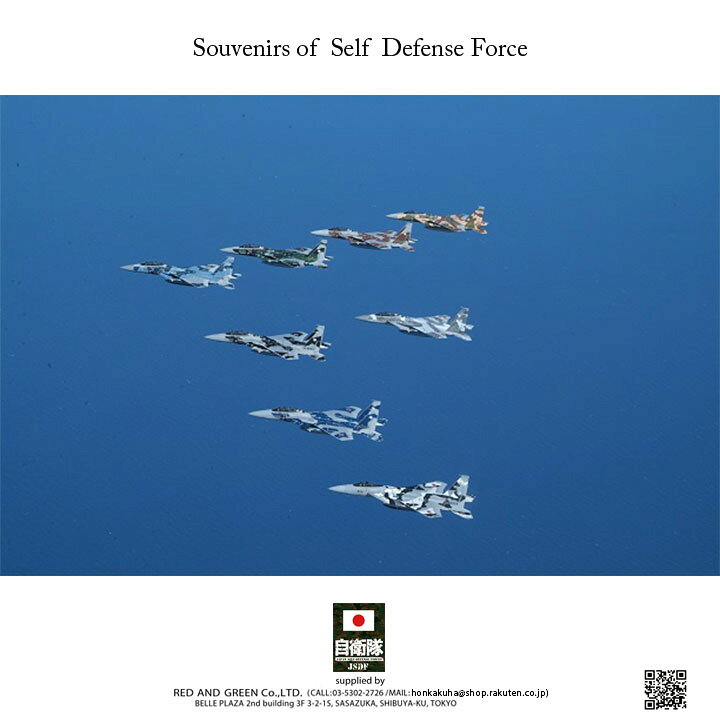 楽天市場 防衛省 自衛隊 グッズ カレンダー 躍動 大型 令和3年 21年度版 月めくり壁掛けタイプ 都心を飛行するブルーインパルス 男女兼用 サイズ かっこいい おしゃれ 大人気 自衛隊装備 アーミー ミリタリー タクティカル Px限定 日本製 ギフト Cld21 6 本格派