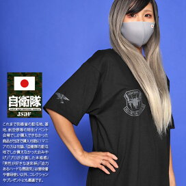 アイテム一覧 自衛隊グッズ 装備品から探す F35A戦闘機 本格派大人のB系 XL 零 ZERO