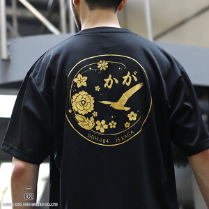 q ObY q  TVc C bVTVc  z bV UVJbg Y tėp S3F 傫TCY C㎩q wRv^[ڌq  DDH184  JMSDF  PX