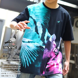 楽天市場 ハイブランド Tシャツ メンズファッション の通販