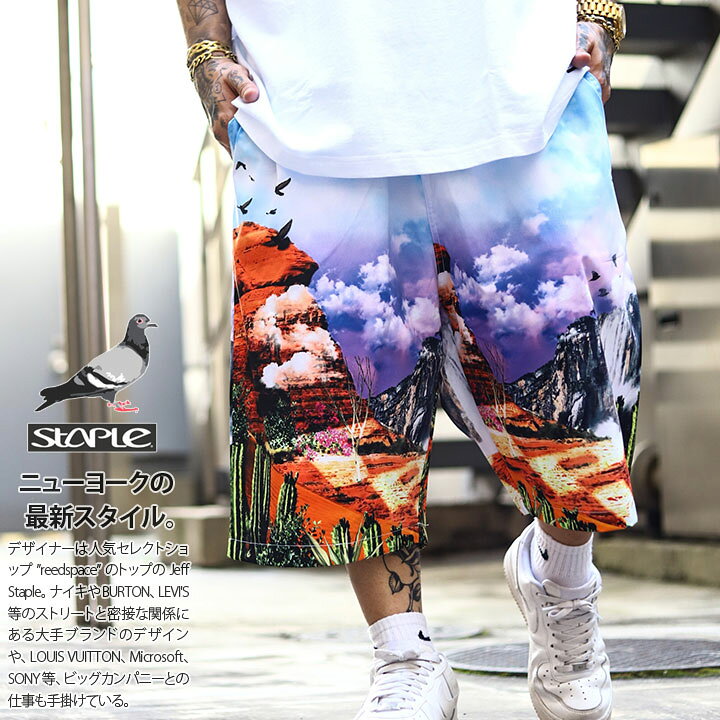 楽天市場 Staple ハーフパンツ メンズ 春夏用 青 大きいサイズ ステイプル 柄パンツ ナイロンパンツ ショートパンツ バギーパンツ ゆったり パンツ おしゃれ かっこいい 総柄 鳥 ロゴ 刺繍 アウトドア ヒップホップ ストリート系 ブランド 21夏 新作 2105b6561 本格