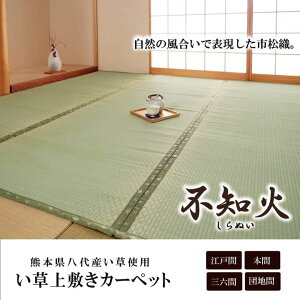 Y  ~ J[ybg sD wsm΁x ]ˊ1(88×176cmj F{YCgp[13]