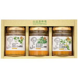 Rc{I YI3{Zbg Mtg 蕨 v[g[24]