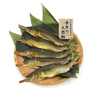 ̏M E_ƈYF ǐVR Ă Mtg 蕨 yYz[24]