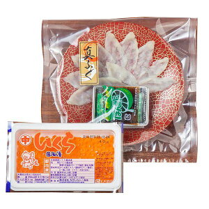 YtOEkCY Mtg 蕨  5021-35yYz[24]