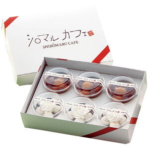 kCuV}JtFvʃXC[c6Zbg Mtg 蕨 yYz[24]