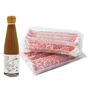  EϊďC јaԂ Mtg 蕨 yYz[24]