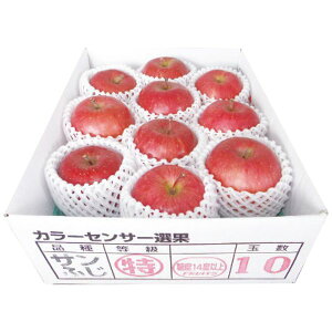 XY x14xۏ؃Tӂ2.5kg Mtg 蕨 [24]