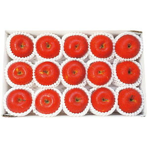 쌧Y MBTӂ 3.4kg Mtg Ε [24]