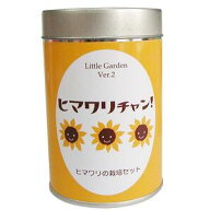 リトルガーデンVer．2　ヒマワリチャン　栽培キット　栽培セット【代引不可】[02]