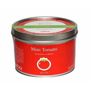 gK[fv@~jg}g@͔|Lbg@͔|Zbgysz[02]