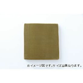 【ポイント4倍】クッション 無地 もっちり シート グリーン 40×40cm 1380000000499 [13]