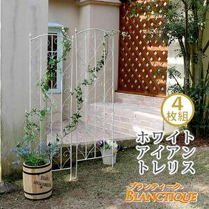 y|CgʒIzueB[N zCgACAgXH147 4gyAeB[N _ X^CbV Vv ACAtFX t@j`[K[f CeA Ƌ VR 