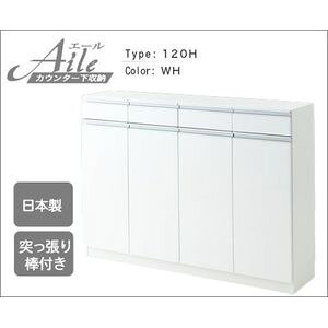 G[120H JE^[[@Iׂ2F@{@˂^t[25]