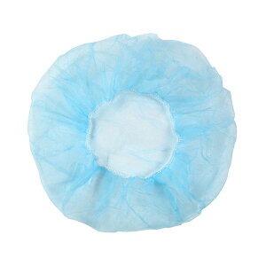 i܂Ƃ߁j ɓ[eCN sDzLbv u[ XCB-2 1pbNi100j y×2Zbgz[21]