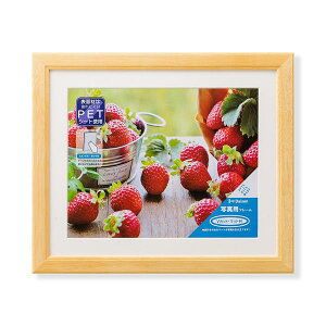 yʐ^zz}bgtEPETt KNTʐ^z lc؁i235×285mmjEZc؁i181×231mmj i`[21]