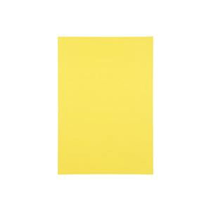 (Ɩp30Zbg)WCebNX Fp/Hp y؂ 10z  P148J-2[21]