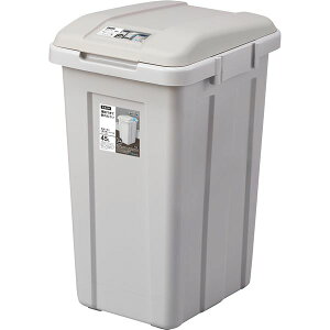 AXx WCgʃy[ 45L O[[21]