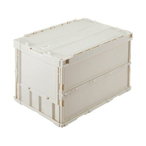 GR J[IR t^t 50L zCgO[ 560320WHTSU 1 ܂肽 Rei [ e IR[21]