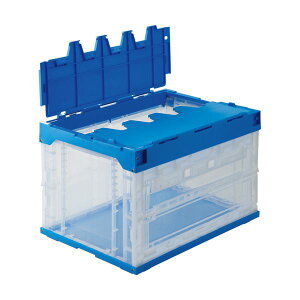 Ob ܂肽݃Rei t 1ʔt 50L t^ 556280-00 1 ܂肽 Rei [ e IR[21]