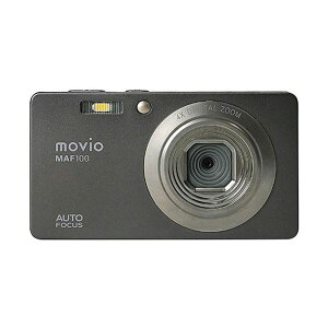 iKIJI[gtH[JX@\ 2.7^t RpNgfW^J MAF100 1[21]