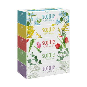 i܂Ƃ߁j {NVAXRbeB eBV[ t[{bNX 250g^ 1pbNi5j y×10Zbgz[21]