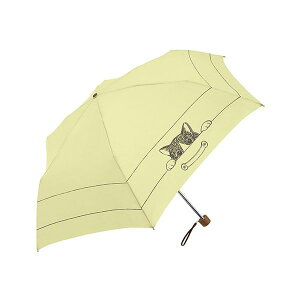 O MKN Ռ&ՔM R[eBOP 50cmy~j CAT mini CG[ S2515811[21]