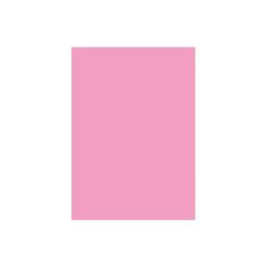 (業務用10セット)大王製紙 再生色画用紙/工作用紙 【四つ切り 10枚】 フラミンゴ [21]