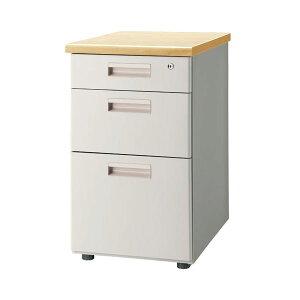 FIRST-G e3i GT-463WTR i`[21]