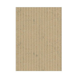 i܂Ƃ߁j qTSJ[_{[ bv{[h B3 i` RB16 1pbNi3j y×5Zbgz[21]